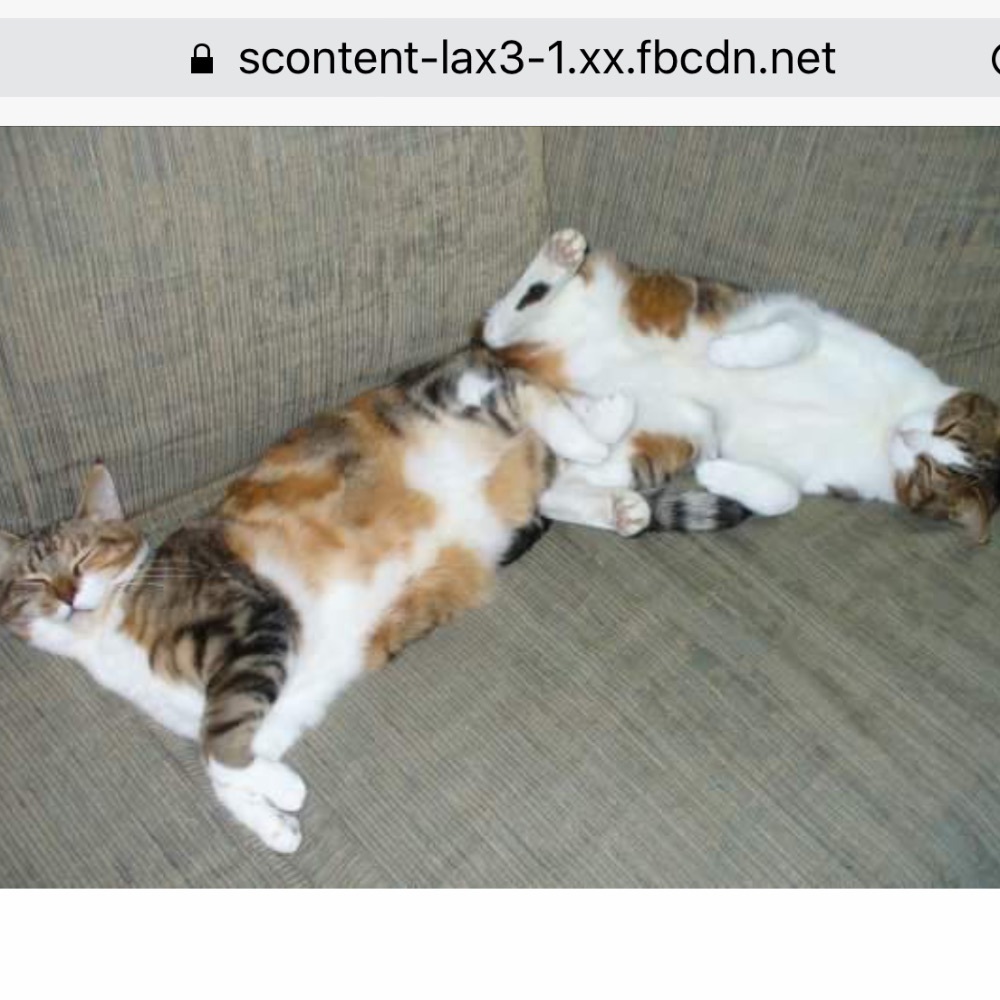 Meet your Posher, Michelle